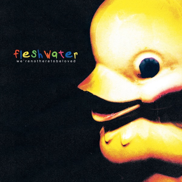 Cover artwork for We're Not Here to Be Loved by Fleshwater.