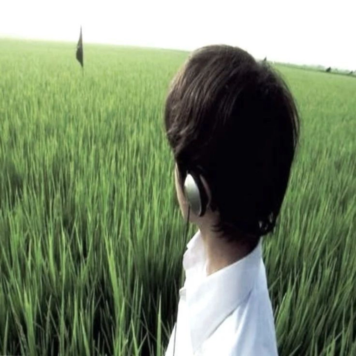 Playlist cover for trimley showing a figure in a white shirt standing in a green field.